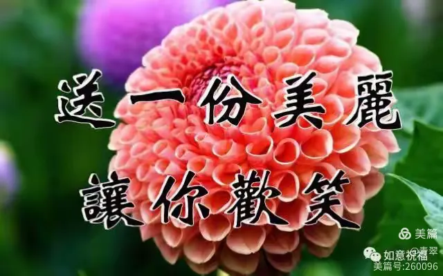 😀💐今日立秋！最美的祝福送给你🌹🌺快打开看看😀🌺💐